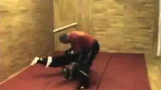 Sifu Yannis - Wing Tzun kick defense 2