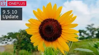 OnePlus 7 Pro Video Test with the 9.5.10 Update