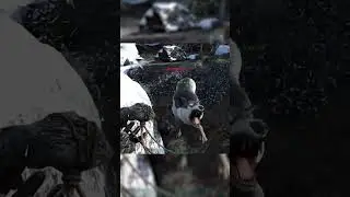Worst luck in ARK