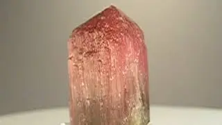 Liddicoatite crystal from Madagascar