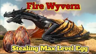 Stealing Fire Wyvern Max Level Eggs Eps 11 / #ark #arkmobile #arksurvivalevolved