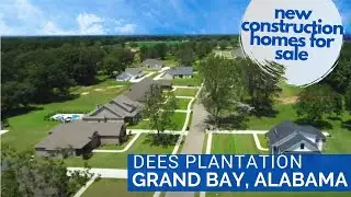 Dees Plantation in Mobile, Alabama | New Construction Homes by D.R. Horton | Drone Fly-Over View
