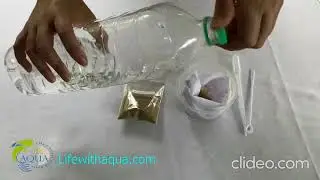 Fairy Shrimp Eggs Hatching Instructions Video Tutorial with Subtitles