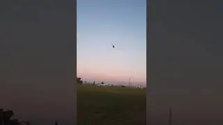 Helicoptero RC Align 600, Club Pucara