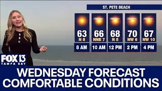 Tampa weather | Sunny and comfortable temps