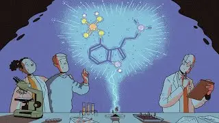 What Happens When You Combine 4-AcO-DMT With 2-FDCK?