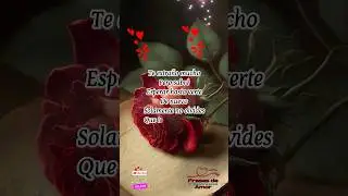TE EXTRA&Ntilde;O MUCHO&hearts;️&hearts;️ #parati #amor #parasiempre #teamo #buendias #tuyyo #frases