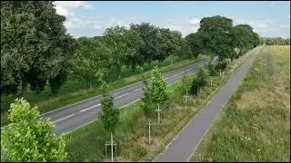 Alleen an Radwegen in Mecklenburg-Vorpommern