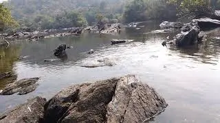 DANDELI Kali river view from deep of jungle where u can't go through vehicle.. awesome