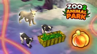 The Halloween Event 2025 🎃