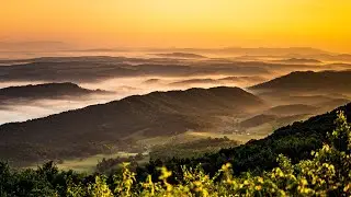 Appalachian Trail 2022 Thru Hike - Real Time Update