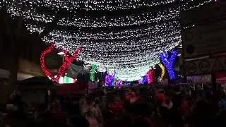 CARNAVAL DE SANTA CRUZ DE TENERIFE 170224. S&Aacute;BADO DE PI&Ntilde;ATA