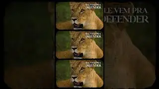 O Le&atilde;o Ruge &ndash; Ele Defende a Noiva! #shorts #ole&atilde;oeaigreja