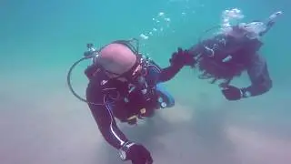 NCR New Club Reef - Sealine Beach