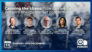 Calming the chaos: How can we fix Britain's energy market problems?