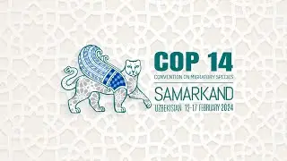 CMS COP14 - 6th Day Plenary [RUSSIAN] / 17 Feb afternoon session