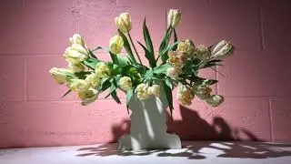 Parrot Tulip Time Lapse Extended Version