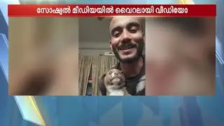 വാഹനങ്ങൾ ചീറിപ്പായുന്ന റോഡിന് നടുവിൽ പെട്ടുപോയ നയക്കുട്ടിക്ക് കരുതലുമായി ഡെലിവറി ബോയ്