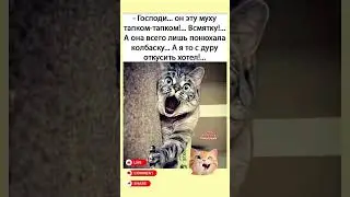 #юмор, #прикол, #ржака