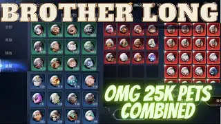 MIR4 BROTHERLONG COMBINED 25,000 PETS! LEGEND PET? #mir4 #mir4global #BROTHERLONG
