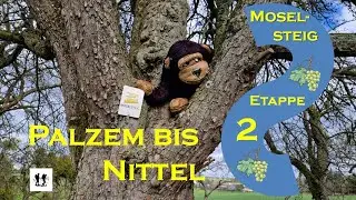 #Moselsteig, Etappe 2: Von Palzem nach Nittel
