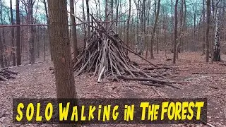 Walking ALONE through the WOODS in BERLIN | Virtual Walking in Germany