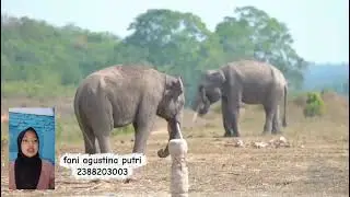 (Way kambas national park) Fani Agustina putri 2388203003 