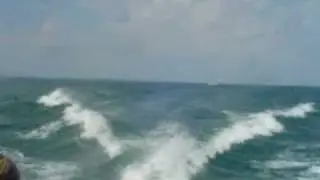 Lake Erie Perch Fishing Charters