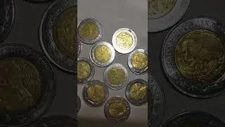2 pesos cu&aacute;les Valen la pena tenerlas?