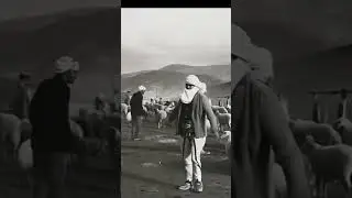 Stari Pazar 65-Vojničke livade 1930.godina #povijest #stado