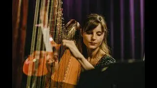 Wild Meadow // Michel Schroeder Ensemble // Resonanzraum Hamburg 2019