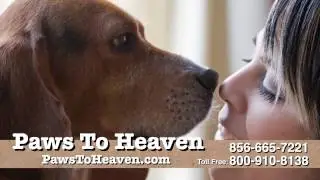 Paws to Heaven | Pet Crematory, Memorial Products, Equine & Bereavement | Philadelphia, PA