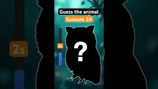 Can You Guess The Animal? (Medium Difficulty) Ep. 24