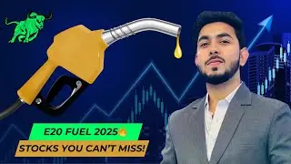 E20 Ethanol Petrol in India 2025 🚀 Top Stocks for Investors!