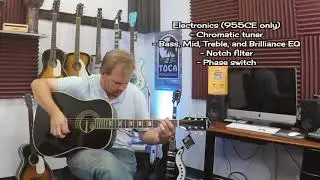 Silvertone 955 Demonstration with Tim Goynes