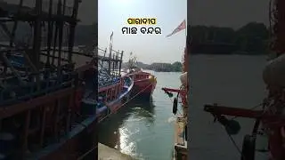 ପାରାଦୀପ ମାଛ ବନ୍ଦର || Paradeep fishing 🎣 spot ⛵🤔😱 #shorts