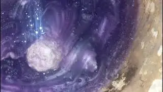 ٧ يناير ٢٠٢٦