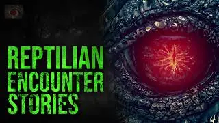 DEVILISH AMPHIBIOUS REPTILIAN CRYPTIDS - HORROR STORIES   CRYPTID STORIES 2020