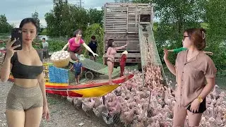 Full video of all 50,000 ducks running on the boat in the flood season