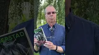 &laquo;Valgdager&raquo; av Jan Kj&aelig;rstad