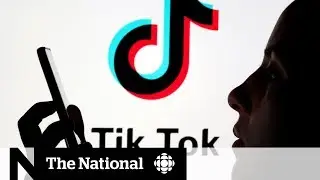 TikTok trouble: Why the app is causing concerns