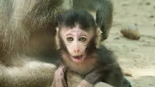 Update New baby Anissa , Believe Anna will doing well take care on new baby,
