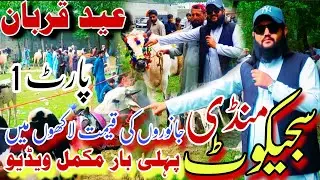 Sajikot Mandi سجیکوٹ منڈی||Bakra Eid Special Visit And Talk #abbottabad