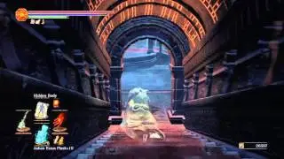 DARK SOULS 3 - Seek Guidance location