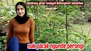 Gitar tunggal Batanghari sembilan NAK PACAK NGUNDE PERANGI lagu daerah Sumsel