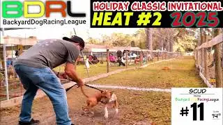 Backyard Dog Racing League: Fast Pups, Fierce Competition!