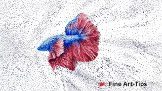 DRAWING A BETA FISH WITH FOUNTAIN PEN - Timelapse