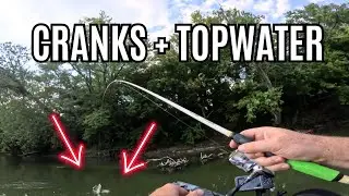 Smallmouth bass River Fishing - Crankbait Magic + Topwater