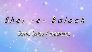 Sher E Baloch Song Lyrics / Meaning !! Dhurnder movie song !! Akshay khanna Entry song