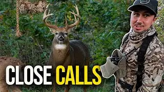 Early October Encounter | Bowhunting Cold Fronts